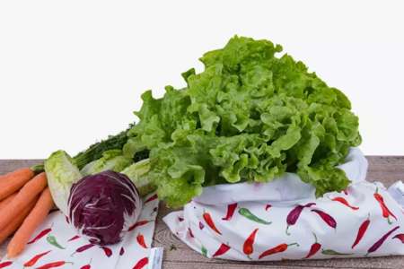 <center>Les botes de conservation, hermtique et sous vide</center>