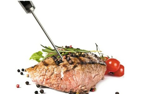 Thermomtre CRISTEL