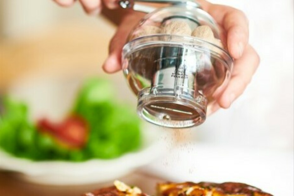 PEUGEOT moulin  muscade